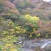 20051105_ibarakitrip_013